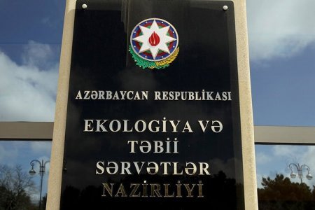 Yaxşını yaxşı görməyə istək olsa - Ağstafa rayon meşə mühavizəsi və bərpası müəssisəsinin direktor Anar Aslanov... Yaxşını yaxşı görməyə istək olsa - Ağstafa rayon meşə mühavizəsi və bərpası müəssisəsinin direktor Anar Aslanov...